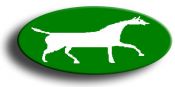 White Horse Computer Training Logo